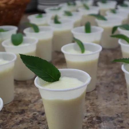 Sunny Garden - Full Board 2* Слънчев бряг